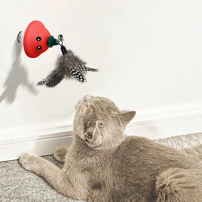 Retractable Wand Teaser Toys for Pets Indoor Exercise