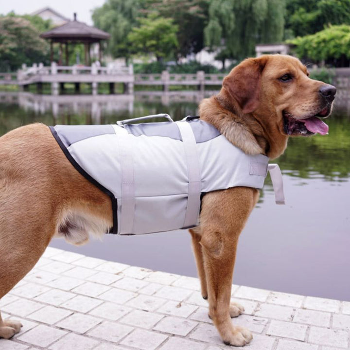 Pet Life Jacket Adjustable Buoyancy Safety Swimming Vest