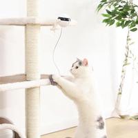 Electronic Motion Interactive Pet Toy
