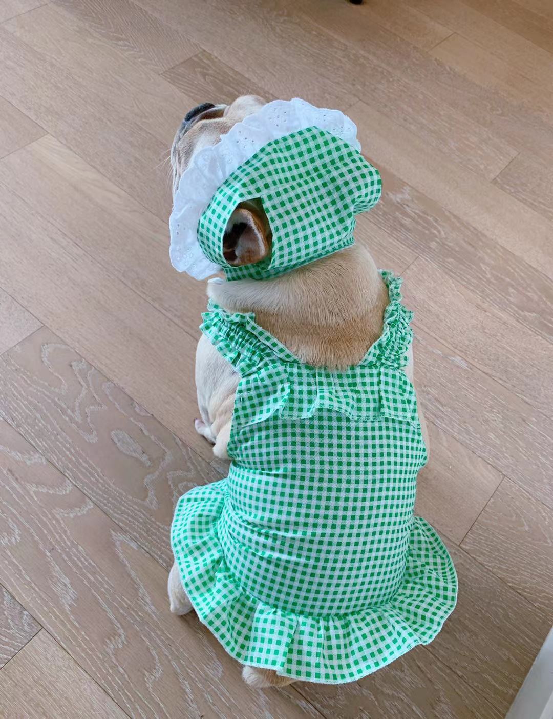 Creative Plaid Pet Dress Set For Pet Wear