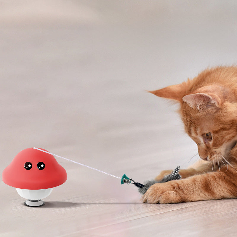 Retractable Wand Teaser Toys for Pets Indoor Exercise