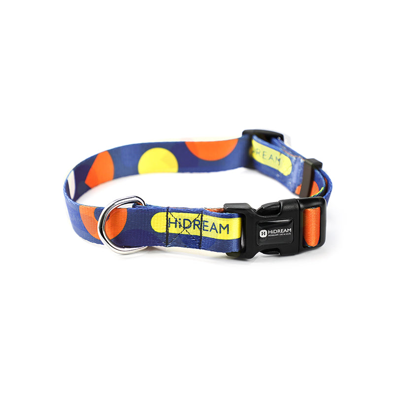 Pet Collar Leash Adjustable Walking Lead Set