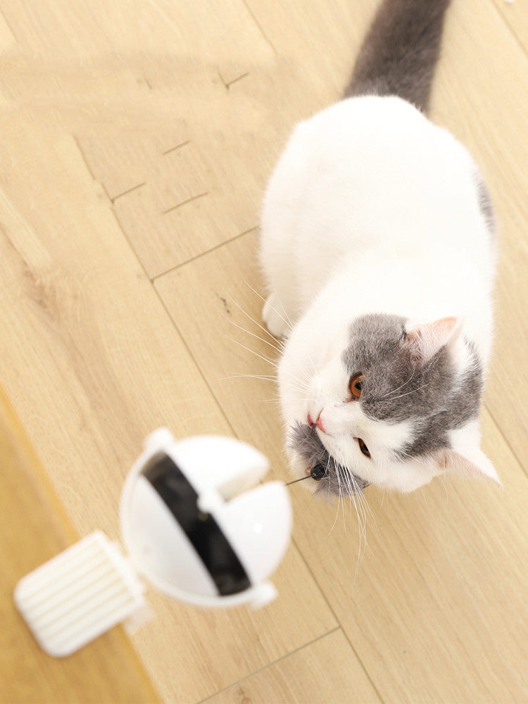 Electric Automatic Lifting Motion Interactive Puzzle Smart Pet Teaser Ball Toy