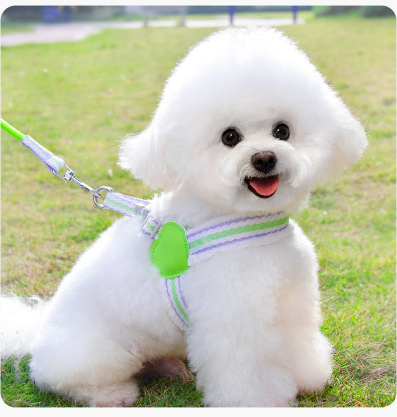 Breathable Summer Chest Vest Leash for Small and Medium Pets