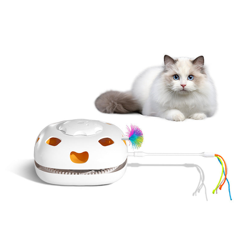 Interactive Self Play Relief Teaser Toy For Pet