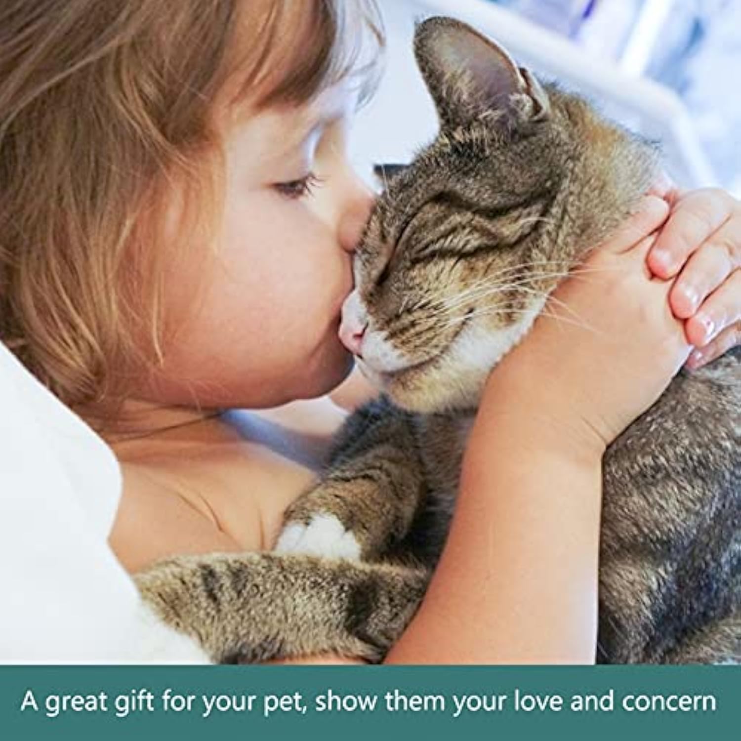Pet Slow Feeder Bowl Detachable Water Tray For Pet Feeding