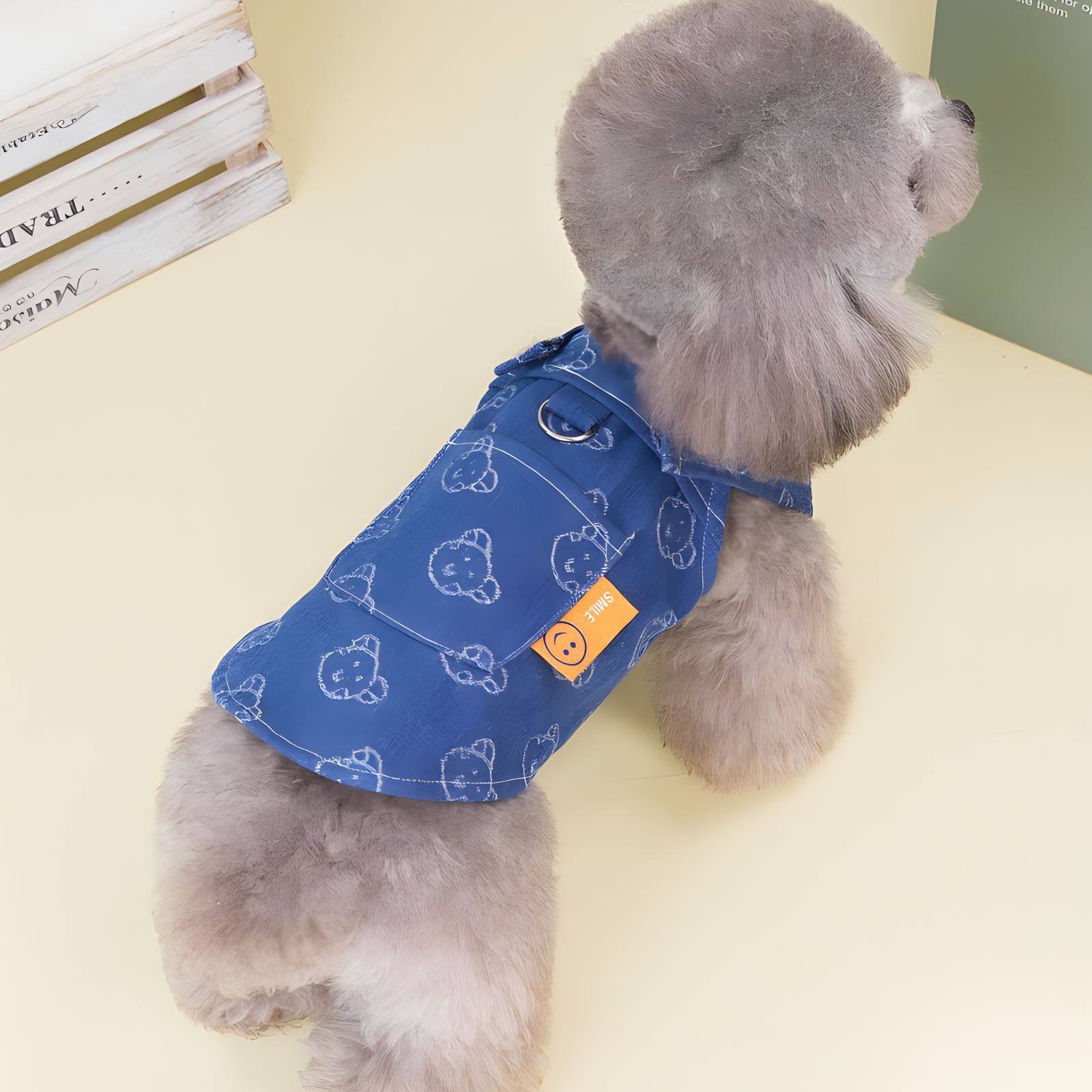 Pet Spring Autumn Thin Denim Princess Dress Cute Apparel