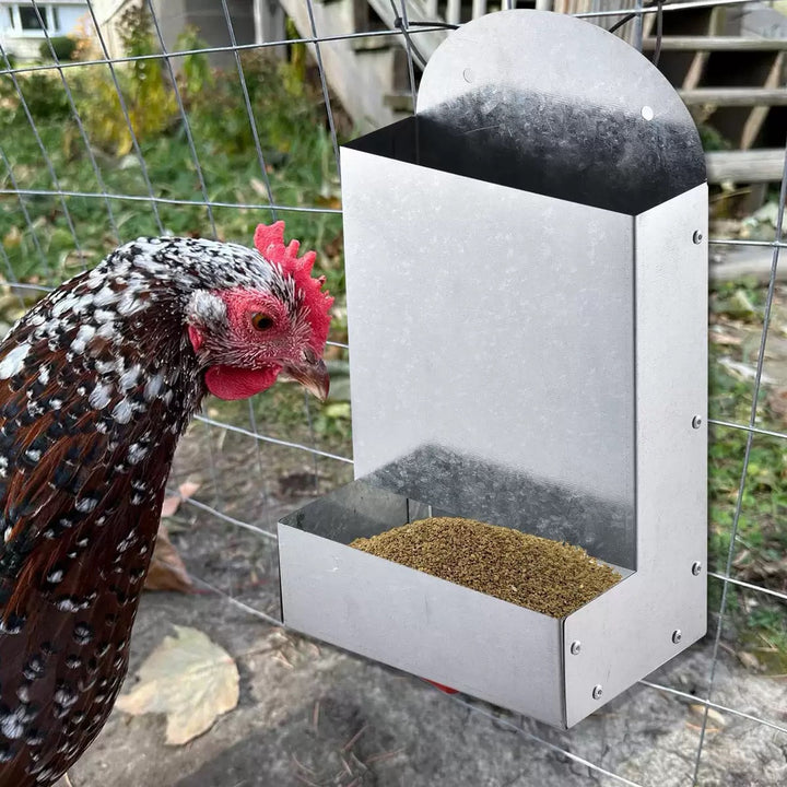 Metal Poultry Feeding Trough For Birds And Small Animals