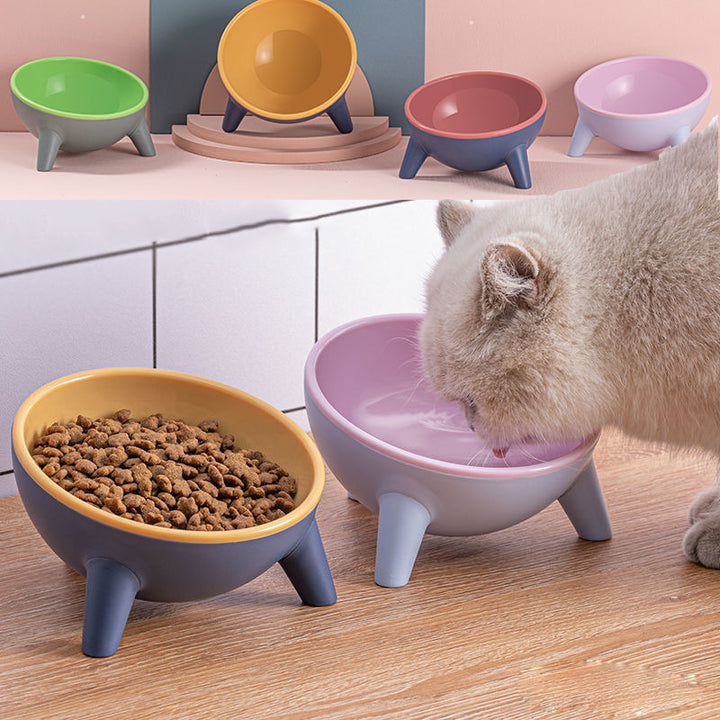 Pet Feeding Bowl with Stand for Dogs and Small Pets
