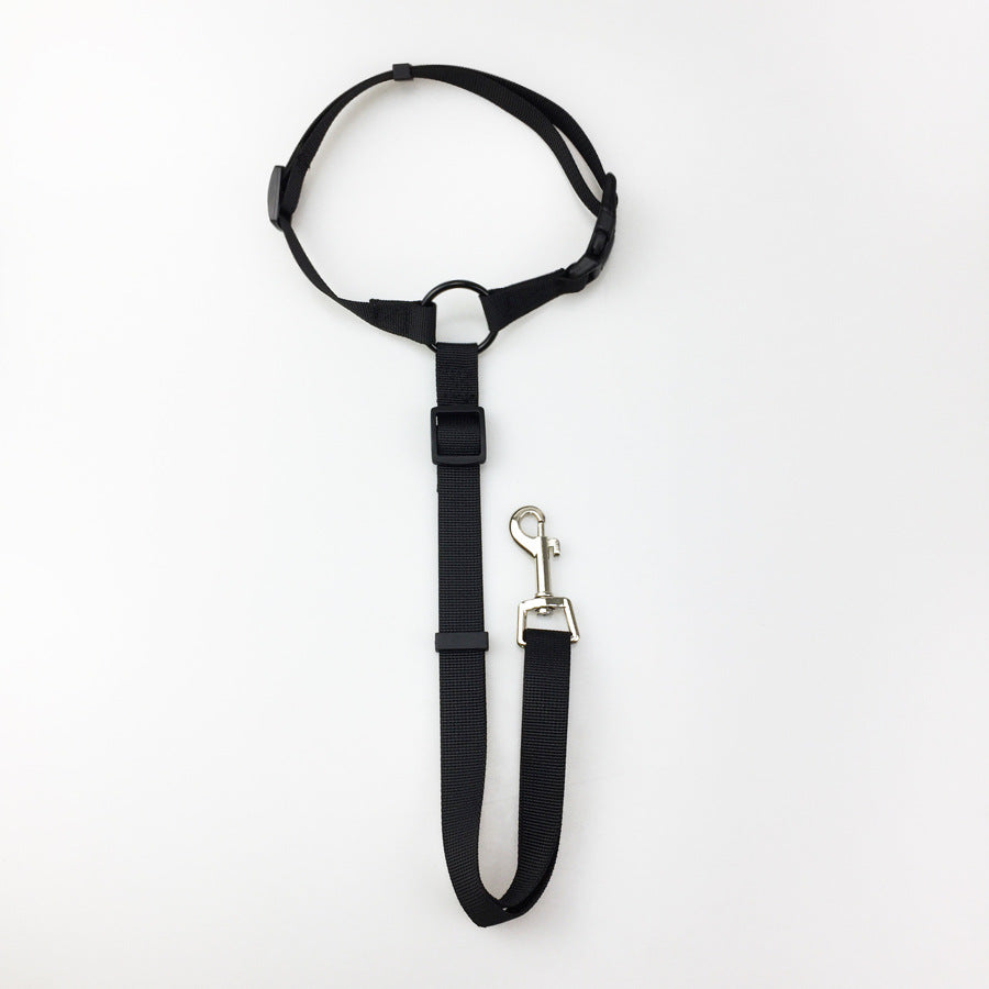 Pet Safety Control Leash Adjustable Walking Lead
