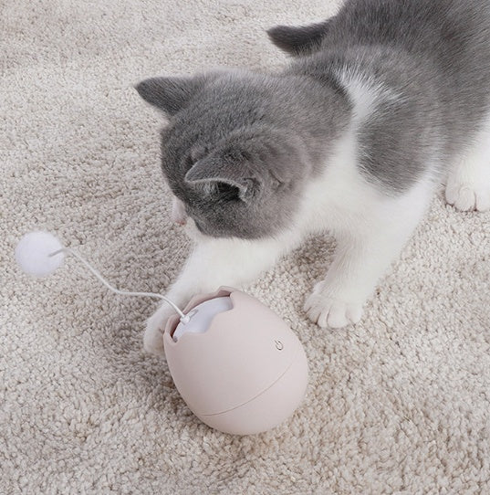 Fun Interactive Toys for Pets
