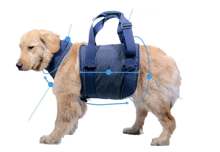 Pet Adjustable Durable Leash for Pets