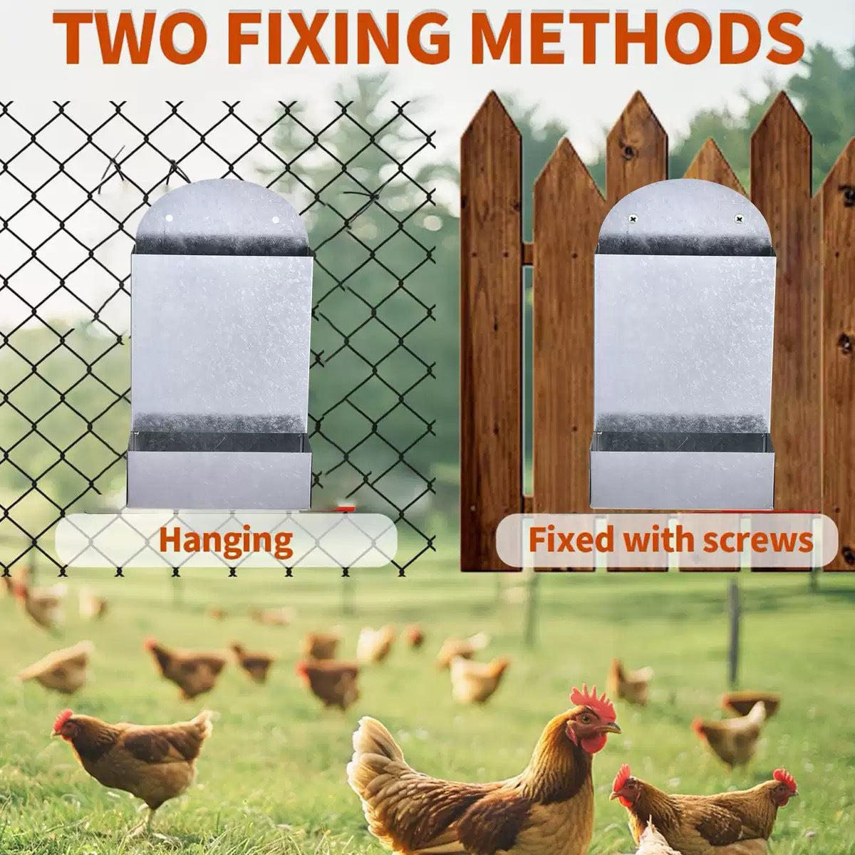 Metal Poultry Feeding Trough For Birds And Small Animals