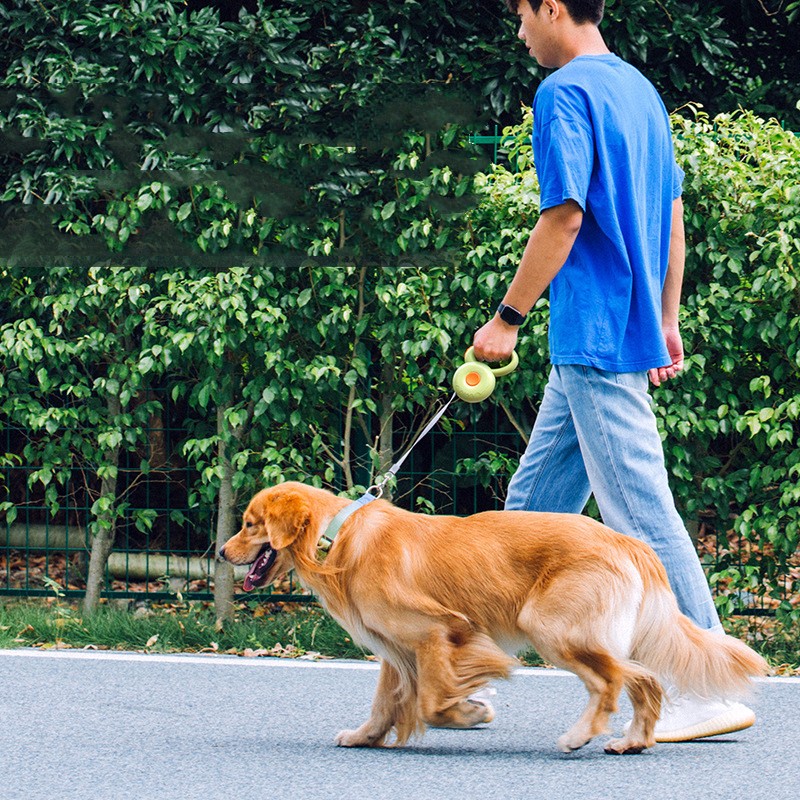 Retractable Reflective Leash for Pets