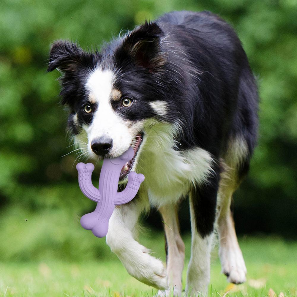 Ultra-Durable Cactus Chew Toys for Pets Interactive Fun