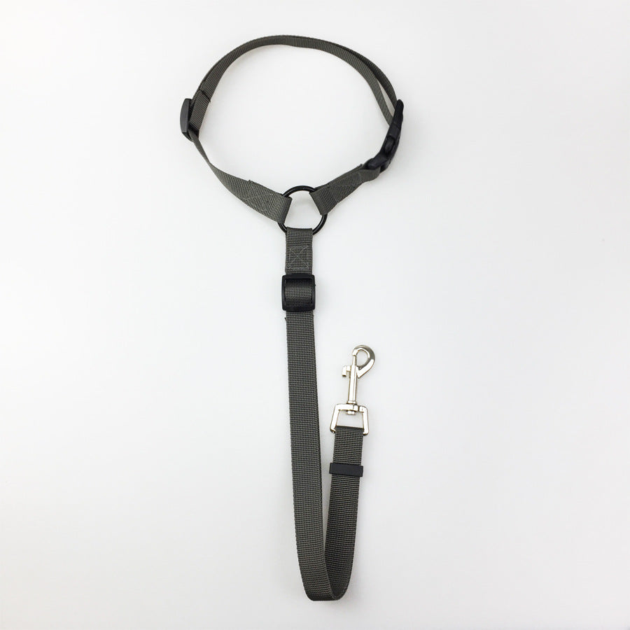 Pet Safety Control Leash Adjustable Walking Lead
