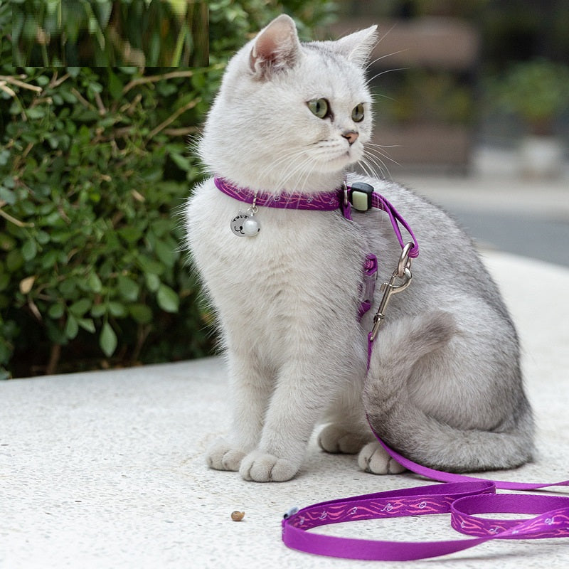 Pet Chest Strap Leash with Bell for Small Pets