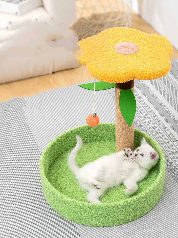 Claw Grinding and Teasing Toys for Pets