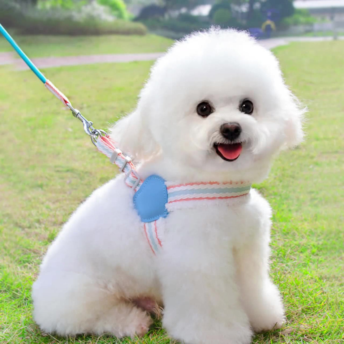 Breathable Summer Chest Vest Leash for Small and Medium Pets