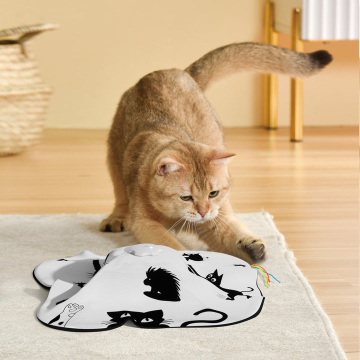 Interactive Self Play Relief Teaser Toy For Pet