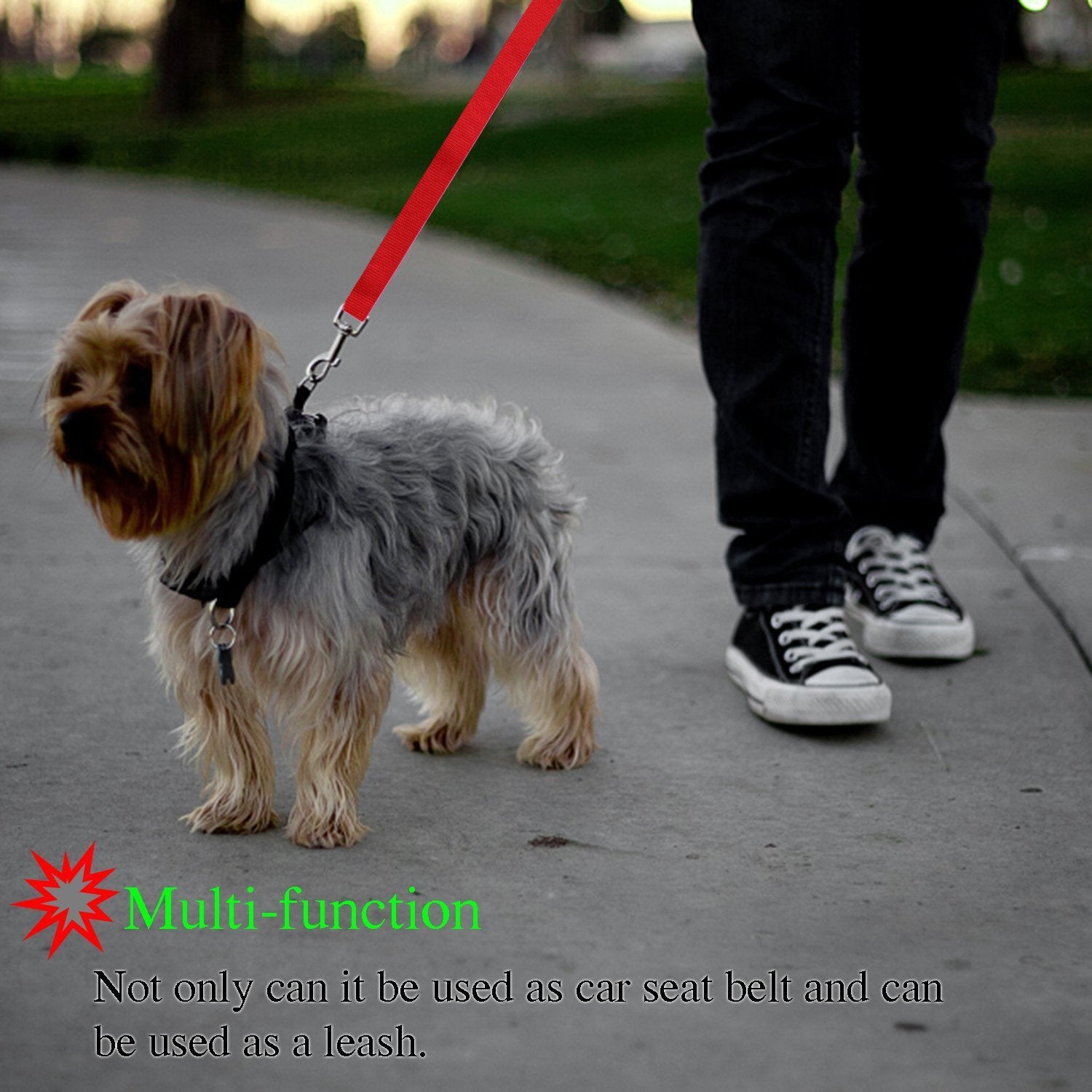 Pet Safety Control Leash Adjustable Walking Lead