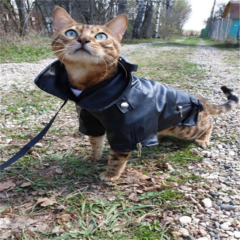 Embroidered Eagle Pet Leather Jacket Stylish Small Pet Apparel