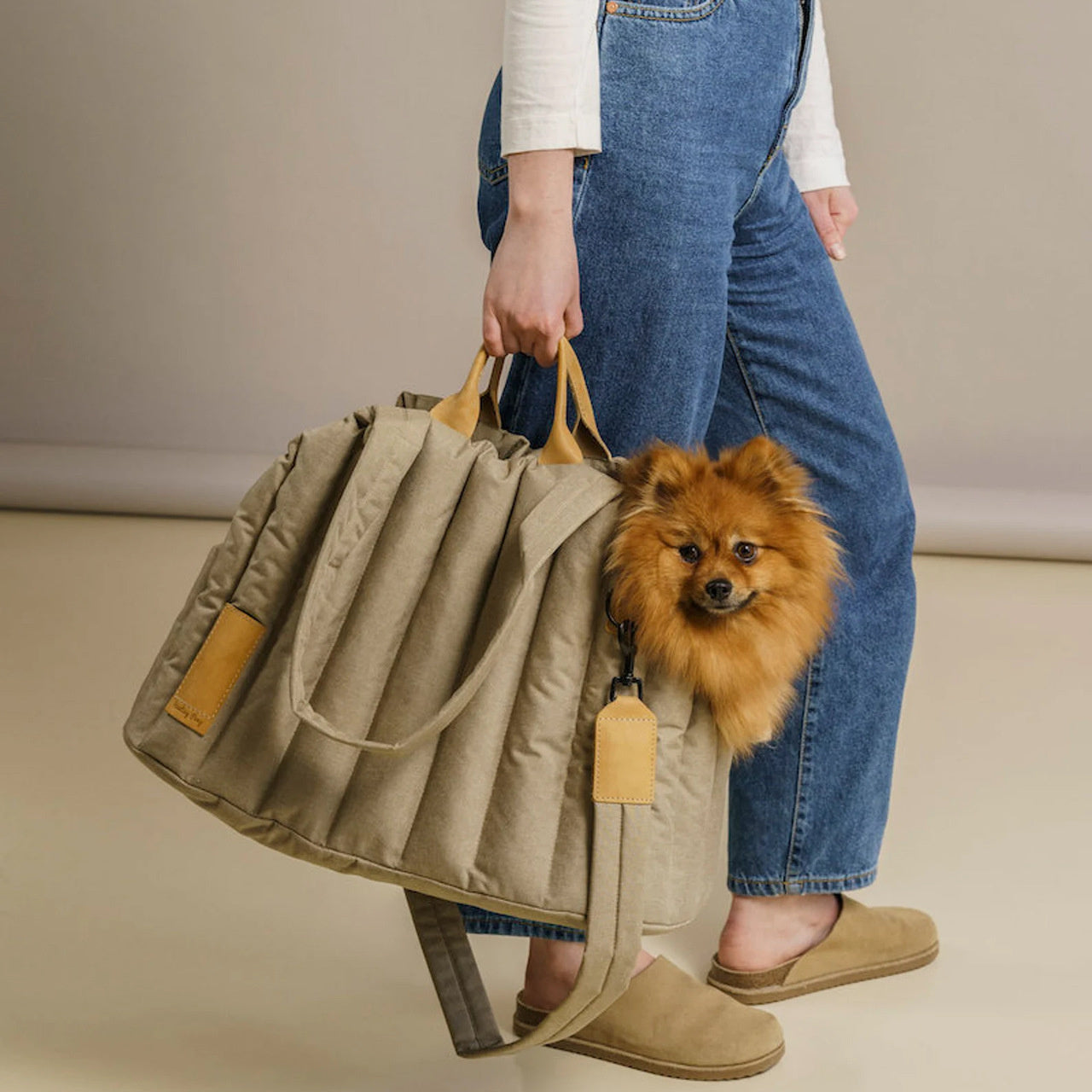 Lightweight Waterproof Pet Carrier Handbag Portable Fashion Travel Bag