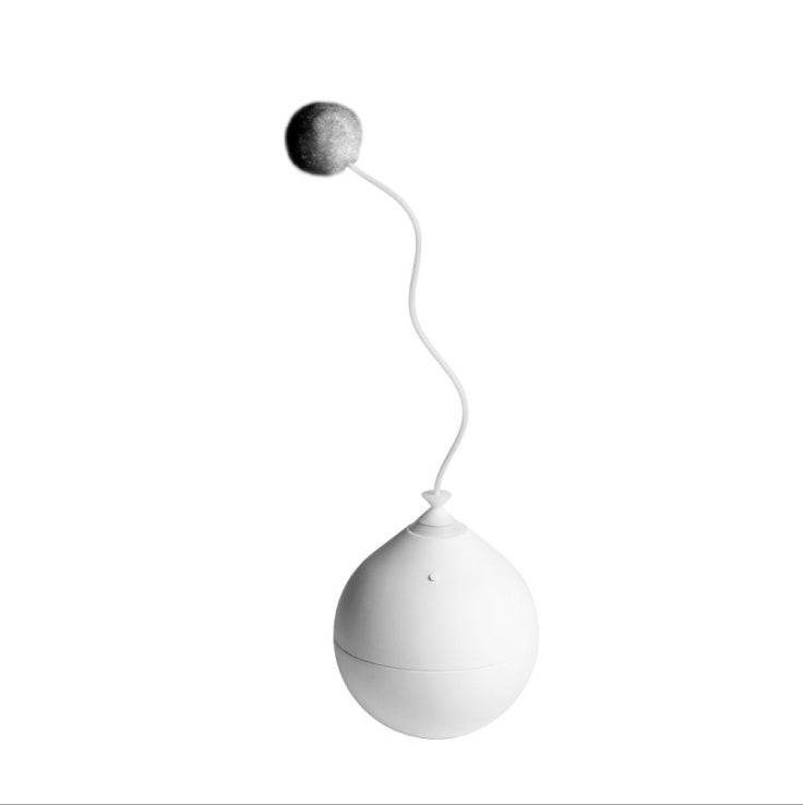 Funny Electric Interactive Pet Toy