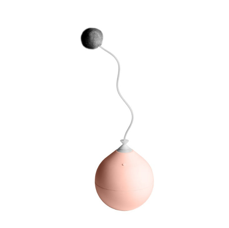 Funny Electric Interactive Pet Toy