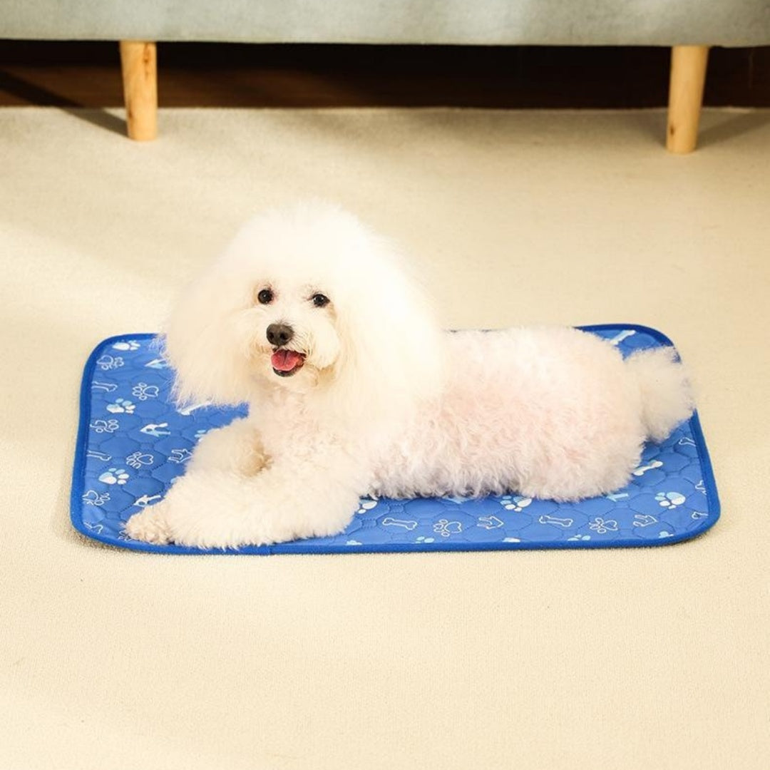 Breathable Absorbent Pet Training Pads Machine Washable Non Slip Use Mats