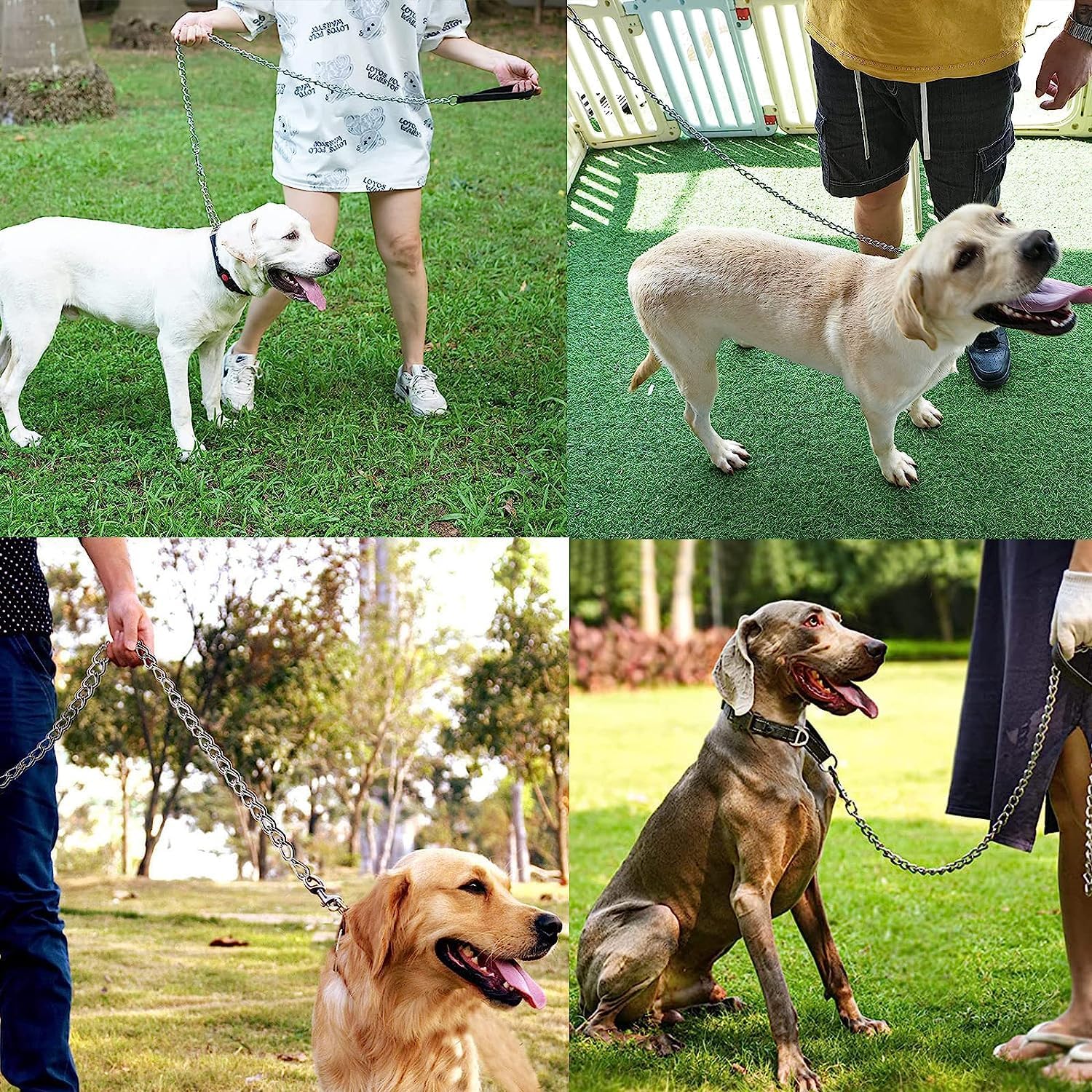Heavy-Duty Metal Chew-Proof Leash with Padded Handle for Pets