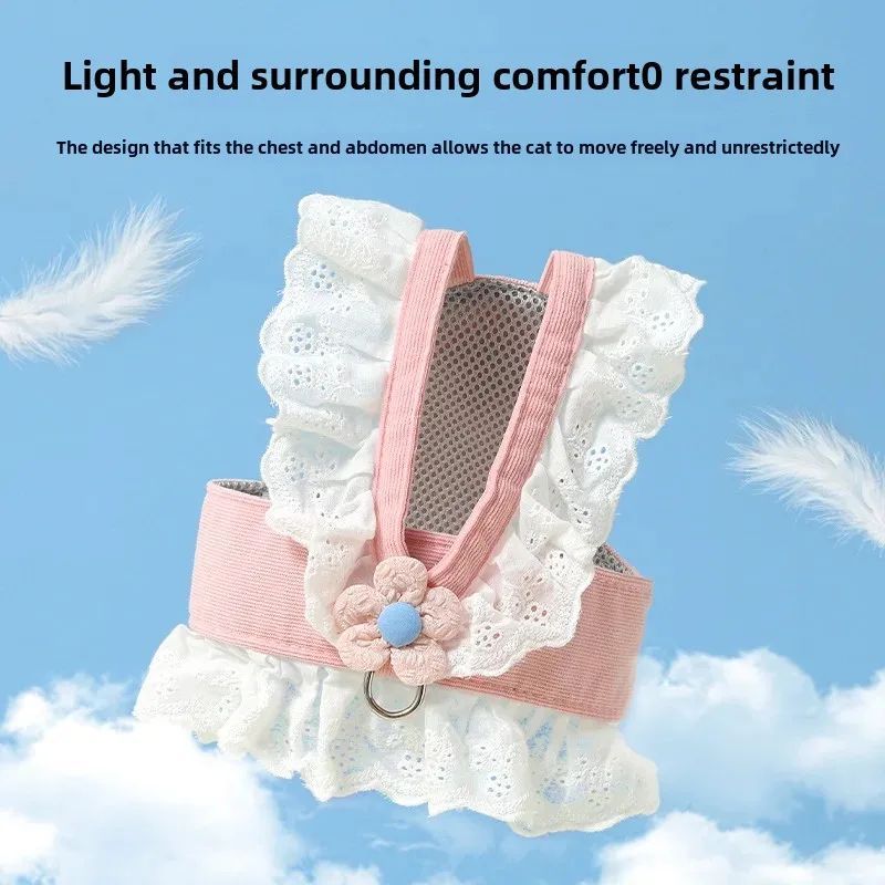 Pet Safety Leash and Collar with Adjustable Walking Strap