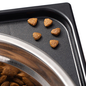 Pet Elevated Feeding Bowl with Neck Protection Anti-Tip Design