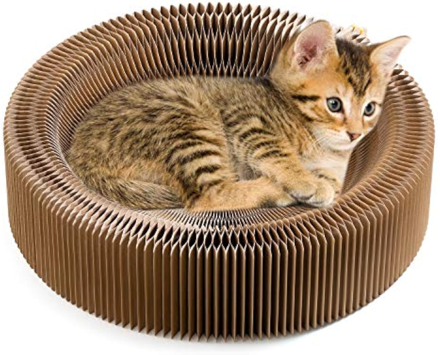 Collapsible Cardboard Scratcher and Lounge Bed for Pets