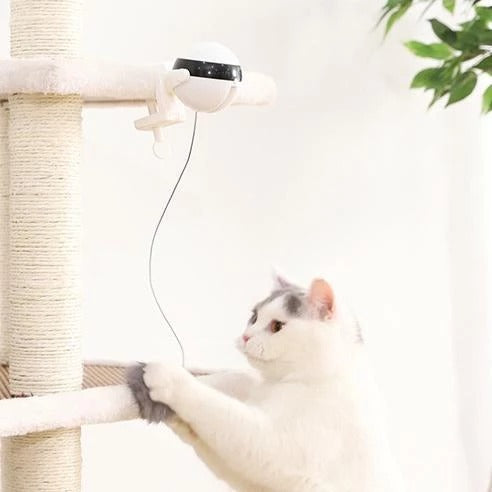 Electronic Motion Interactive Pet Toy