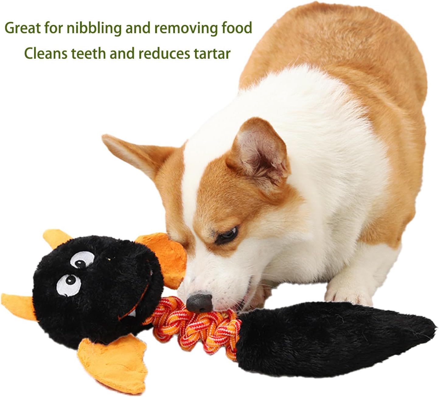 Plush Squeaky Interactive Pet Toy For Small And Large Pets