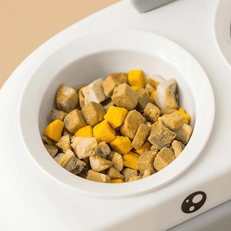 Duck Design Double Food and Water Bowl for Pets