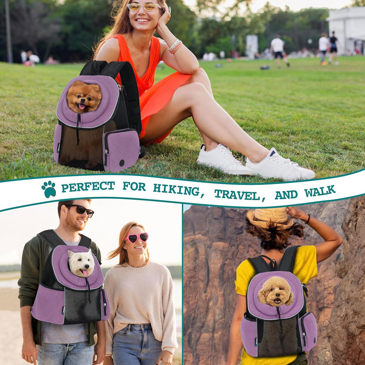 Portable Breathable Pet Carrier Backpack Comfortable Outdoor Travel Bag