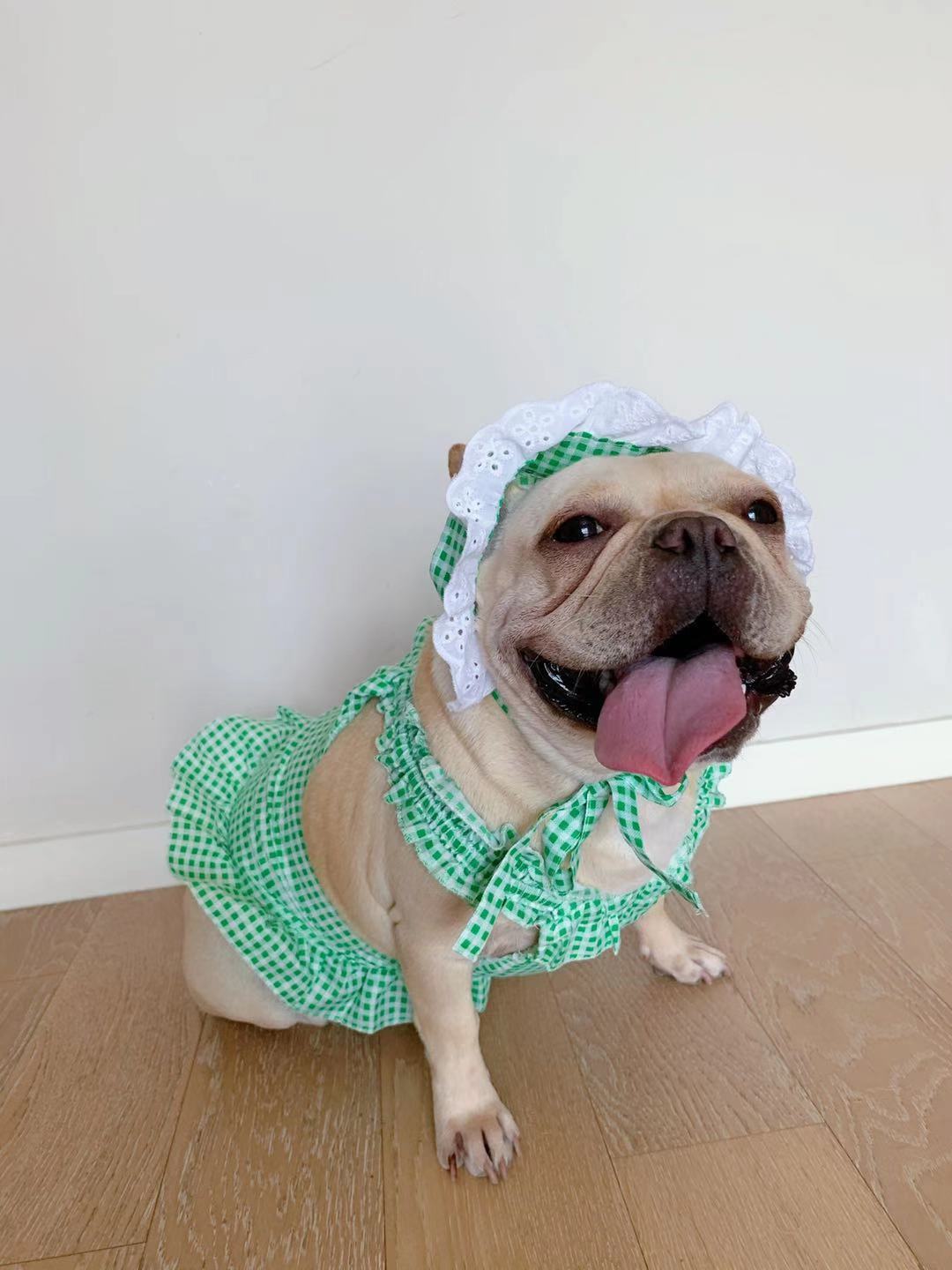 Creative Plaid Pet Dress Set For Pet Wear