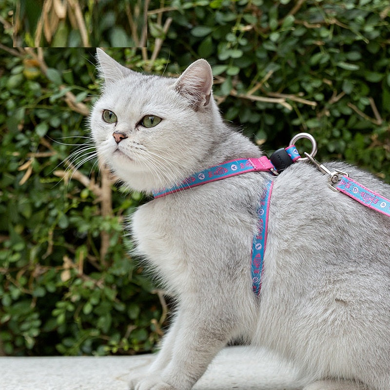 Pet Chest Strap Leash with Bell for Small Pets