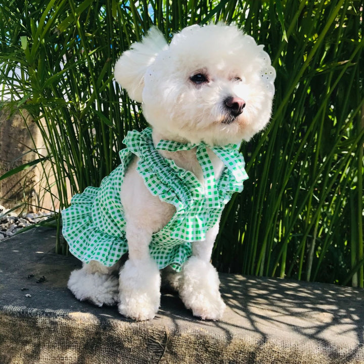 Creative Plaid Pet Dress Set For Pet Wear