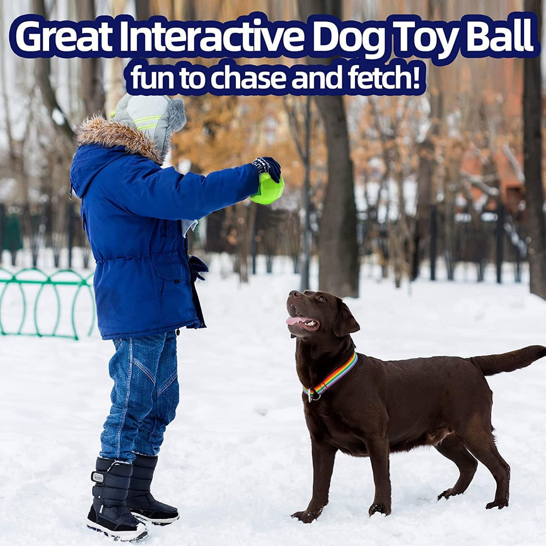 Interactive Squeaky Pet Chew Toy Rubber Dental Ball