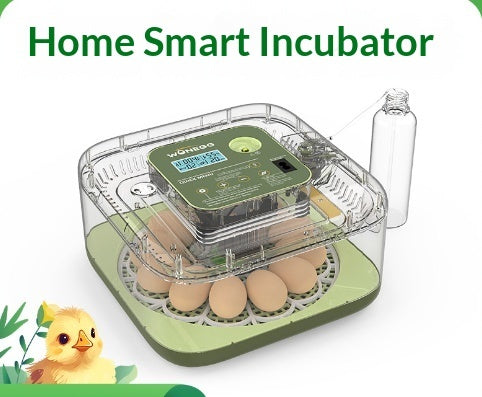 Mini Small Household Egg Incubator