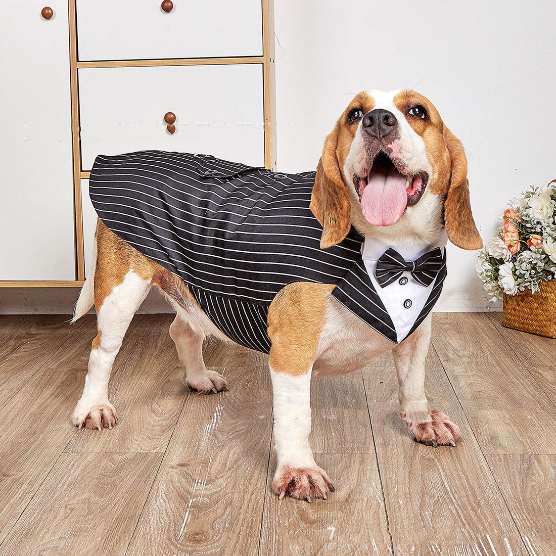 Pet Swallowtail Wedding Suit Jacket Formal Occasion Clothing