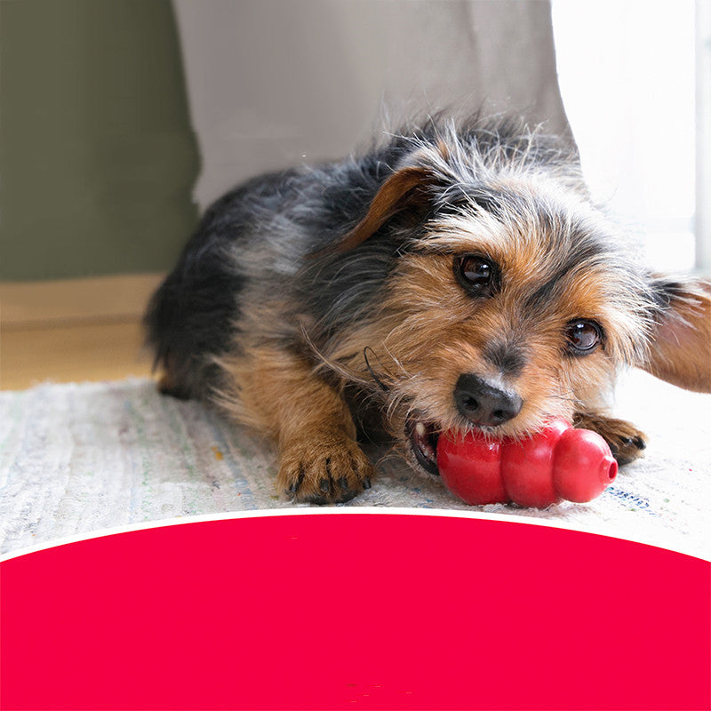 Bite-Resistant Rubber Grinding Toys for Pets