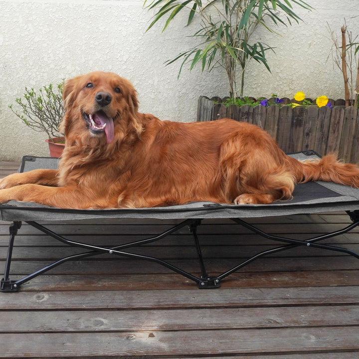 Double Layer Foldable Pet Bed Soft Comfortable Sleeping Mat