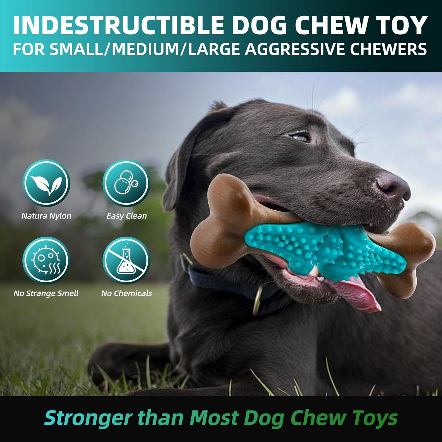 Durable Pet Chew Toy Rubber Bone For Aggressive Chewers