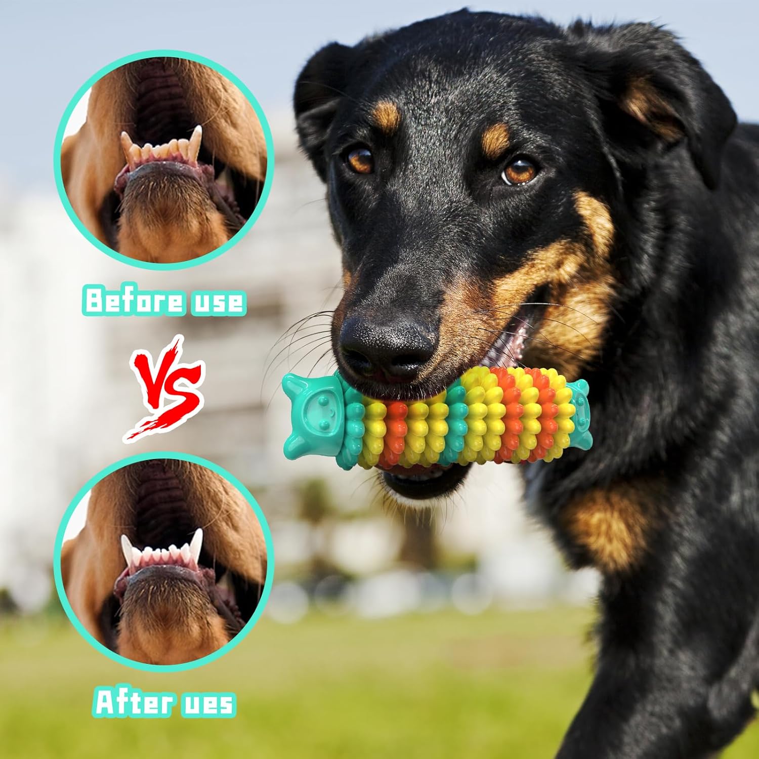 Durable Rubber Chew Toy For Aggressive Chewers All Sizes
