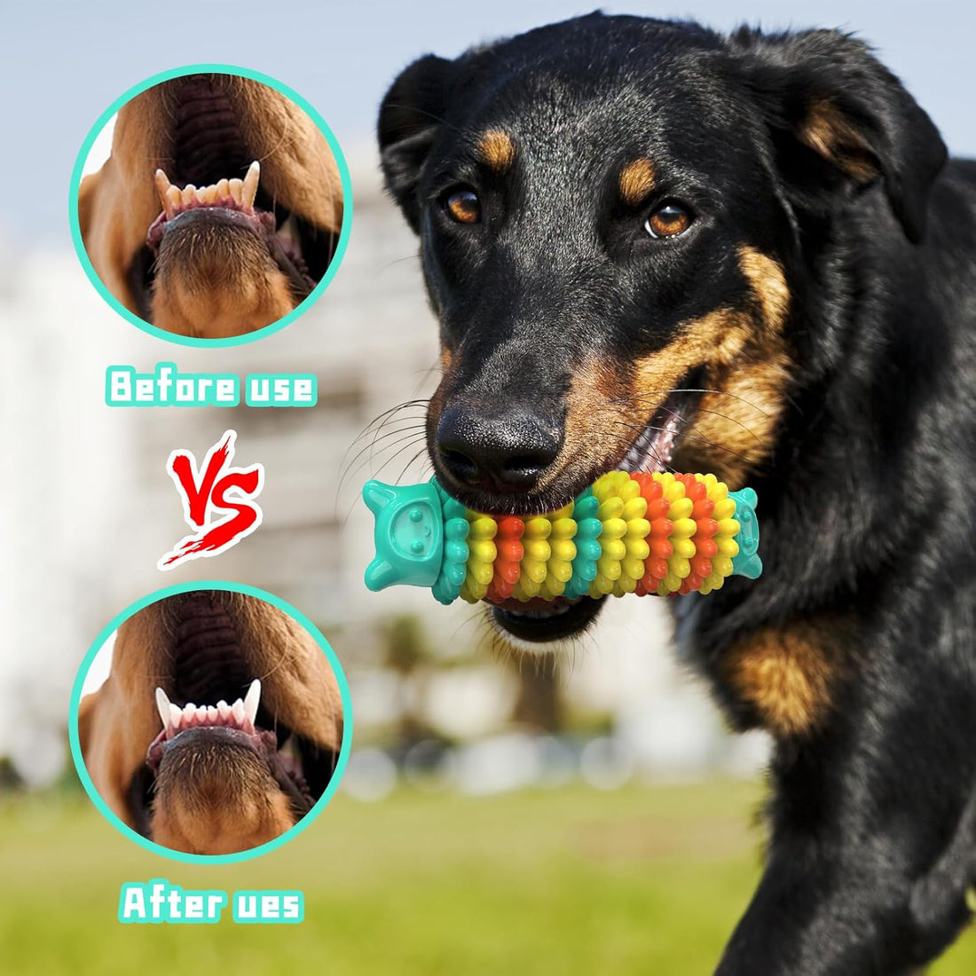 Durable Rubber Chew Toy For Aggressive Chewers All Sizes