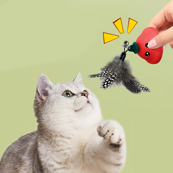 Retractable Wand Teaser Toys for Pets Indoor Exercise